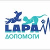 ВЕТЕРИНАРНА КЛІНІКА "ЛАПА ДОПОМОГИ"|ЧЕРКАСИ — Послуги, Черкаси