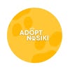 NOSIKI | Dogs & Cats for Adoption — Pets, Ternopil