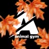 Animal Gym — Навчання, Івано-Франківськ