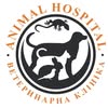 Ветеринарна клініка Animal Hospital🇺🇦 — Services, Kyiv