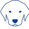 Ветеринарна клініка Анімалія 🏥🐶🐈 — Послуги, Дніпро