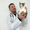 Ветклініка Айболітна • Ветеринар Дніпро — Послуги, Дніпро