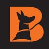 КІНОЛОГІЧНИЙ ЦЕНТР BARKS | ДРЕСИРУВАННЯ | ПЕРЕТРИМКА — Pets, Vinnytsia