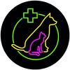 Ветеринарна клініка BIOVET, Запорiжжя — Послуги, Запоріжжя