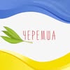 Домашня кухня|Кейтеринг|Напівфабрикати|Банкетний зал|Миколаїв — Їжа, Миколаїв