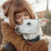 Кінолог Київ-Львів офлайн. Онлайн тренування/консультації — Pets, Lviv