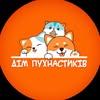 Грумінг «Дім Пухнастиків» — Pets, Mykolaiv