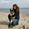 Кінолог Дресирування Одеса — Pets, Odesa