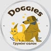 Олександра Ніколова — Тварини, Хмельницький