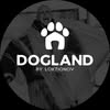 DOGLAND | Кінологічний центр • Пансіон & ЗооГотель 📍Київ — Pets, Kyiv