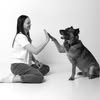 Дрессировка, кинолог Одесса — Pets, Odesa