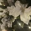 Floran Decor — Весілля та свята, Івано-Франківськ