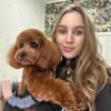 Fluffy Grooming studio |Грумінг собак|Хмельницький|Стрижка собак — Тварини, Хмельницький