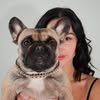 Грумінг Миколаїв — Pets, Mykolaiv