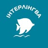 Англійська з 0 до C1/C2 | Німецька | Китайська | Одеса та онлайн — Навчання, Одеса