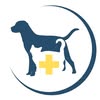Ветеринарна клініка ХарківVet 🐾 — Services, Kharkiv