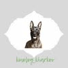 Кинолог Харьков - Липцы — Pets, Kharkiv
