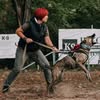 З кінології 🇺🇦 in die Anästhesie 🇩🇪 — Pets, Odesa