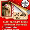 Грумінг Стрижка тварин LeDog Галина — Pets, Cherkasy