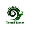 ЛІСОВИЙ РАВЛИК / FOREST SNAIL — Food, Poltava