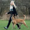 Дрессировка собак Запорожье 🇺🇦❤️ Илона ✌️ — Pets, Zaporizhzhia