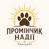 Прихисток "Проміньчик надії ", Дніпро — Pets, Dnipro