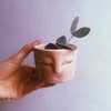May Bee ceramics potterystudio 🙌🏻 — Товари, Одеса