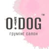 ГРУМІНГ ДНІПРО | СТРИЖКА СОБАК — Pets, Dnipro