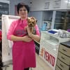 Грумер 🐕 Ольга 🐈 Черкаси — Pets, Cherkasy
