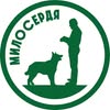 Притулок Милосердя 4️⃣5️⃣0️⃣🐕 — Pets, Lviv