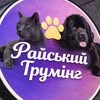 Райський грумінг 📍Житомир — Pets, Zhytomyr