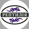 Студія взуття "Рептилія" — Послуги, Львів
