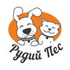 «Рудий Пес» — Pets, Ivano-Frankivsk