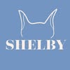 SHELBY | ГРУМІНГ🐾ДНІПРО | ЦЕНТР МІСТА — Pets, Dnipro