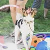 Косогова Ярослава — Pets, Kharkiv