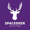 АНГЛІЙСЬКА ЖИТОМИР| SpaceDeer — Навчання, Житомир