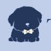 The PET  | ГРУМІНГ | КИЇВ • ОБОЛОНЬ •ВАРШАВСЬКИЙ — Pets, Kyiv
