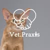 VetPraxis, ветеринарна клініка Житомир — Послуги, Житомир