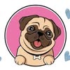 ВЕТЕРИНАРНА КЛІНІКА VET LIFE — Послуги, Чернівці