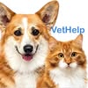 Ветеринарна клініка VetHelp м.Житомир — Послуги, Житомир