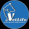 @vetlife.rv — Послуги, Рівне