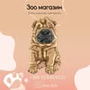 Зоомагазин Львів — Pets, Lviv