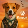 Зоомагазин Патрон Запоріжжя — Pets, Zaporizhzhia